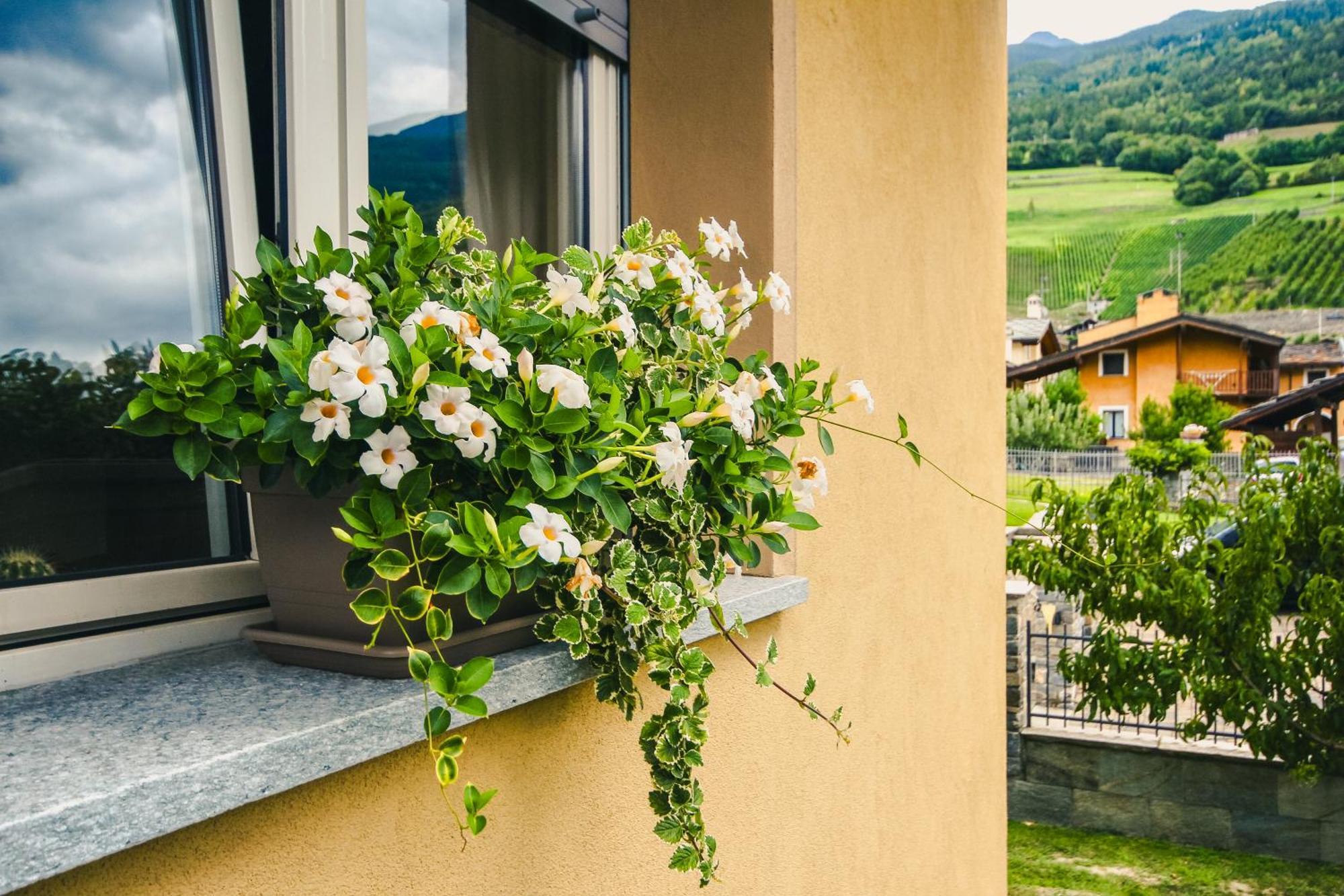 Apartment L'Envers Aosta Exteriér fotografie